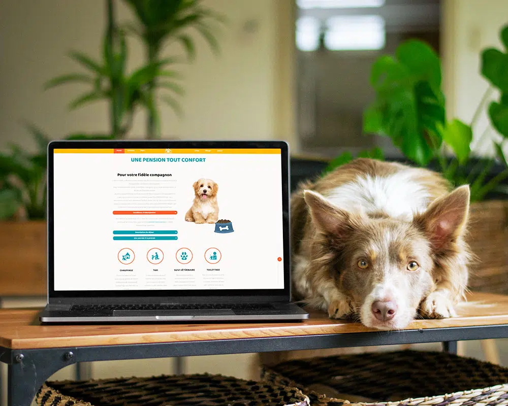 Site web pension canine des Terres Inconnues, laptop
